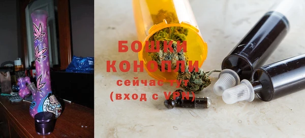 гидра Зеленокумск