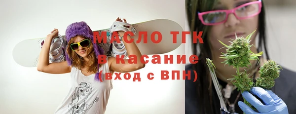 дмт Заводоуковск