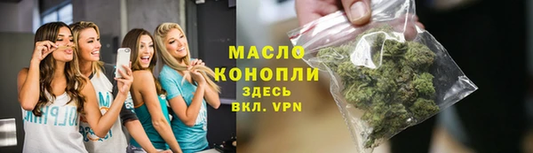 дмт Заводоуковск