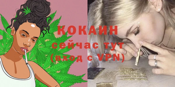 дмт Заводоуковск