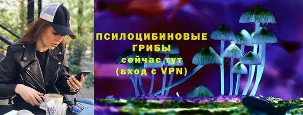mdpv Заволжск